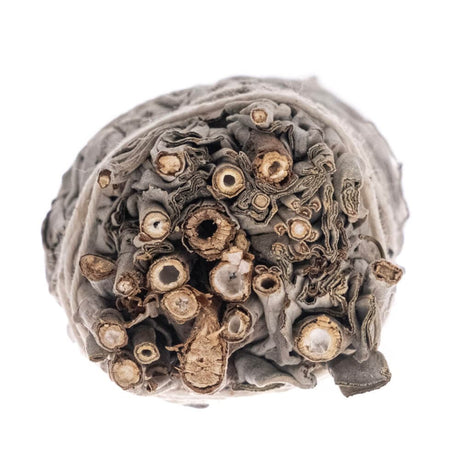 Bilovit Natural Incense - White Sage