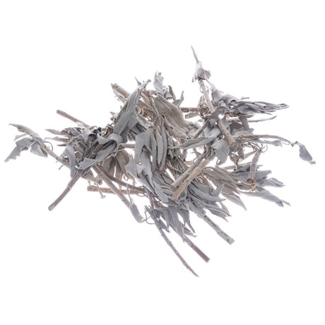 Bilovit Sage White, Leaves - 100 g