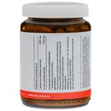 Wellbear Reishi 400 mg - 60 Capsules